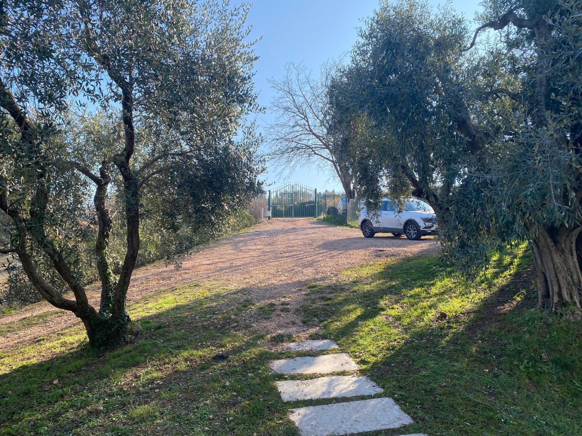 Residenza Cipressi E Olivi Apartman Verona Kültér fotó